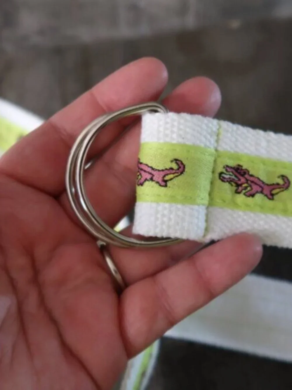 White Canvas Belt Double D Ring Alligator Crocodile Green Stripe Child Size